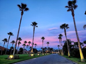 Property grounds - Last Minute Disney! Private Pool, Hot Tub, Game Room & Themed Bedrooms. Book Now! #127359 (Orlando)