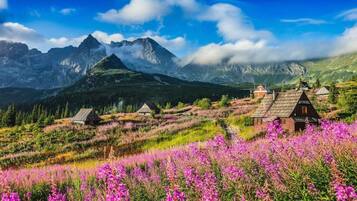 House | View from property