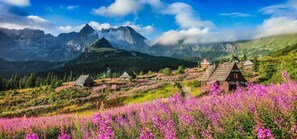 House | View from property