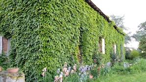 Ein mit Efeu bewachsenes Gebäude mit einem Vorgarten, der verschiedene Blumen und eine Steinstruktur zeigt.