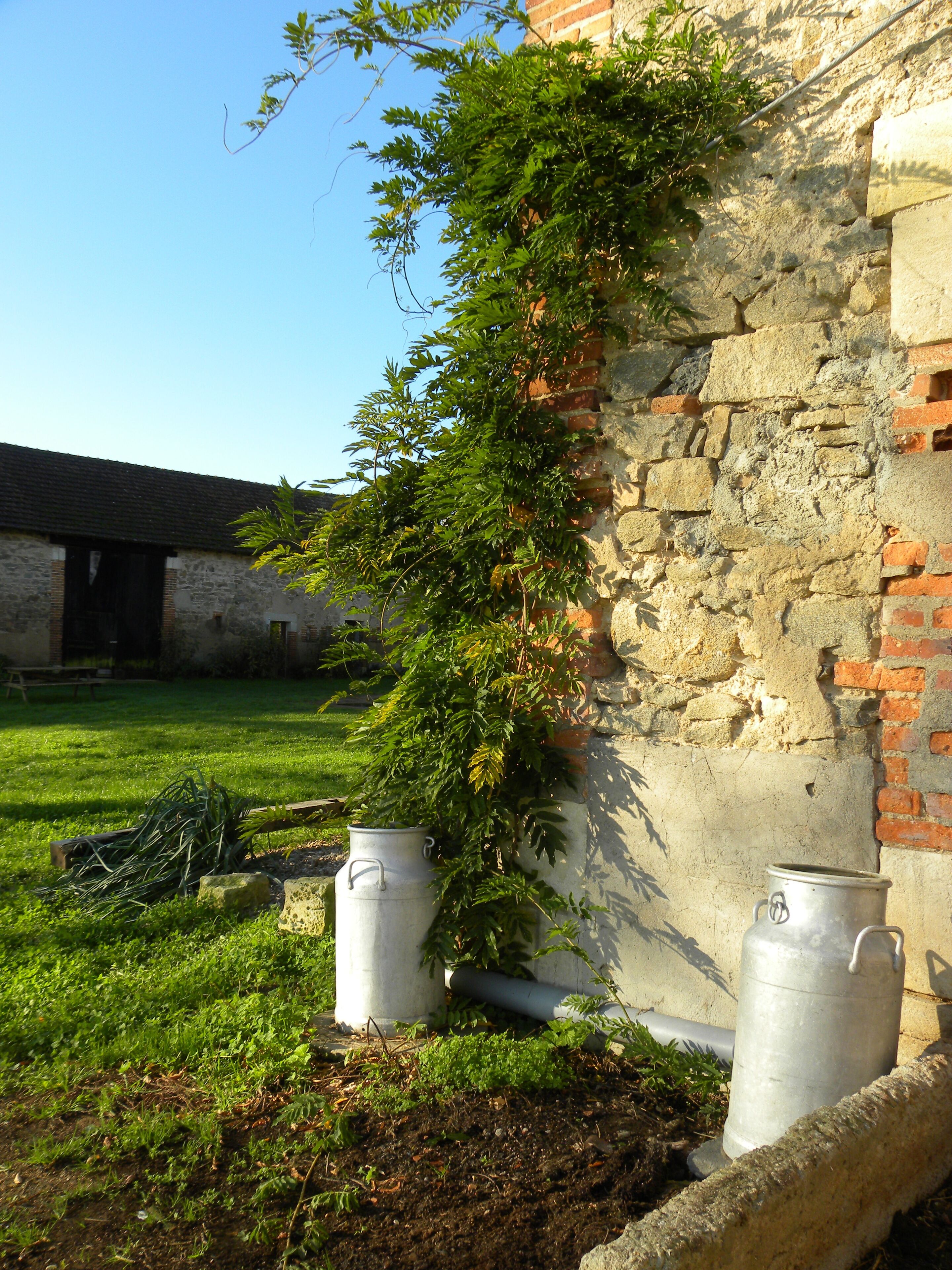 A courtyard with a stone wall, a grassy area, and two metal containers.