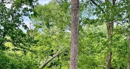 Free Bird Teepee at The Edge—Unique Riverfront Glamping in Salt Lick, KY
