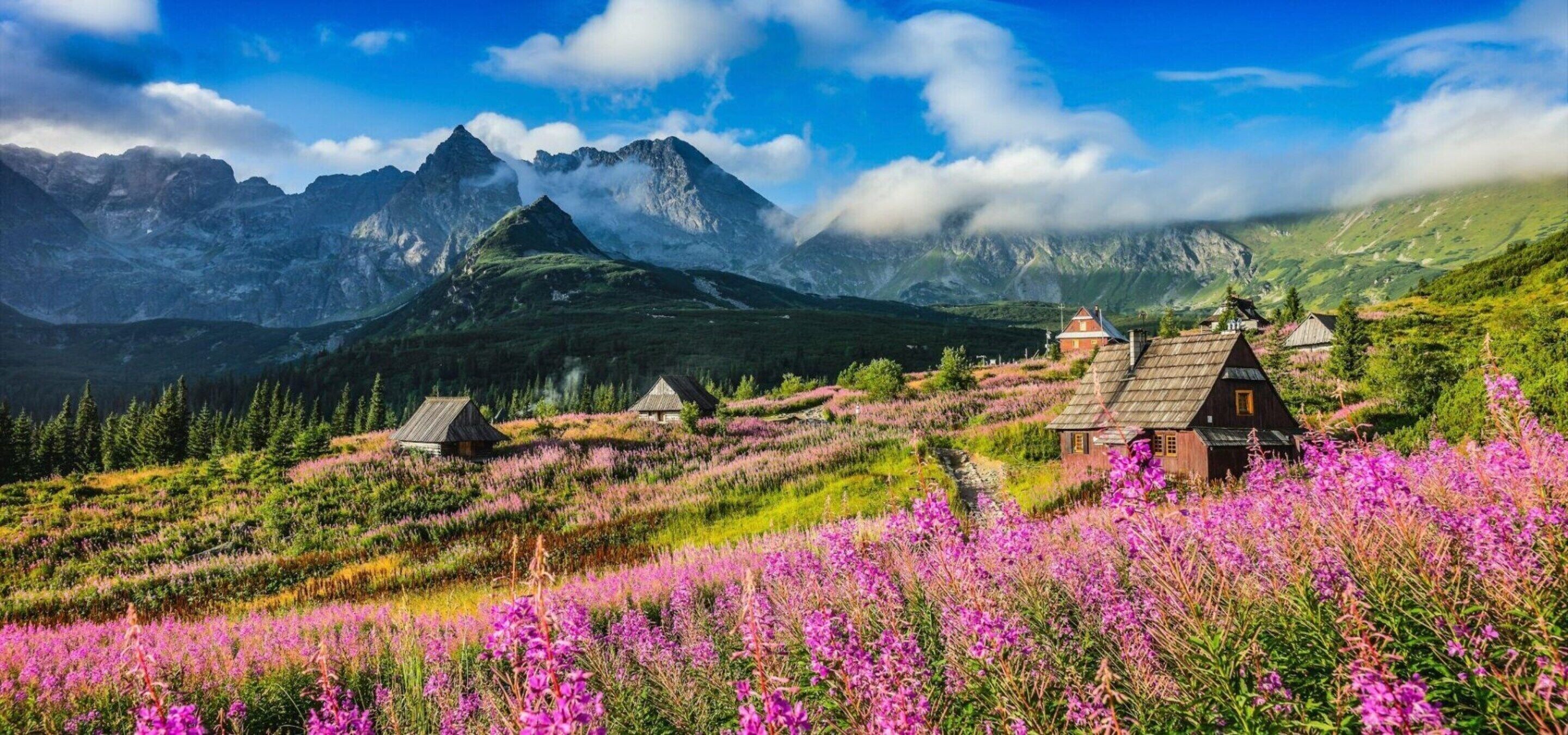 A mountainous landscape with traditional wooden houses surrounded by vibrant wildflowers and a backdrop of towering peaks.