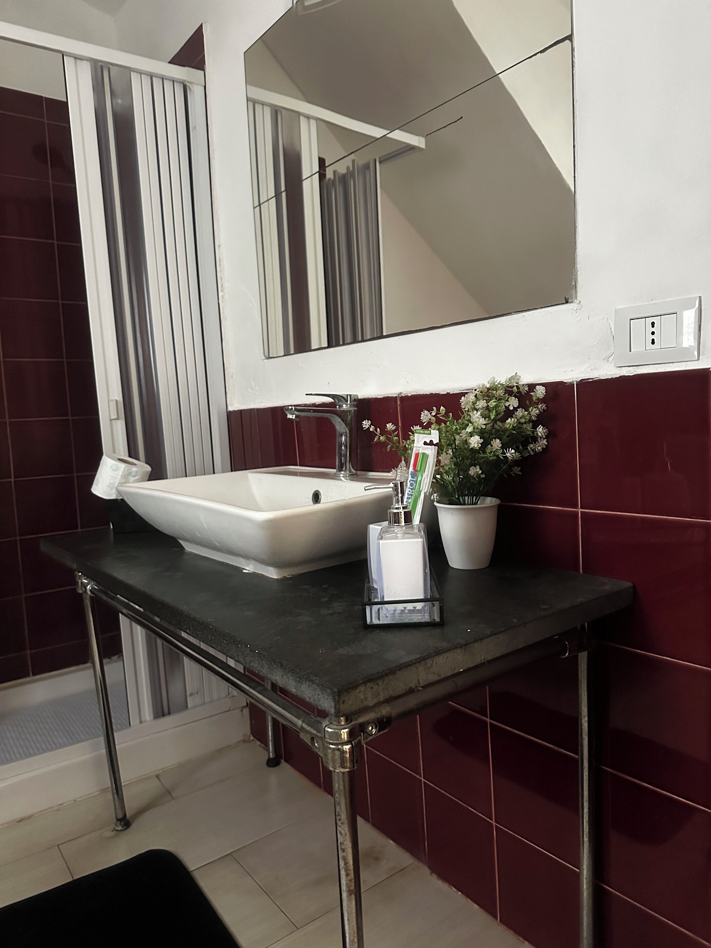 A bathroom with a white sink, a mirror, and a potted plant.