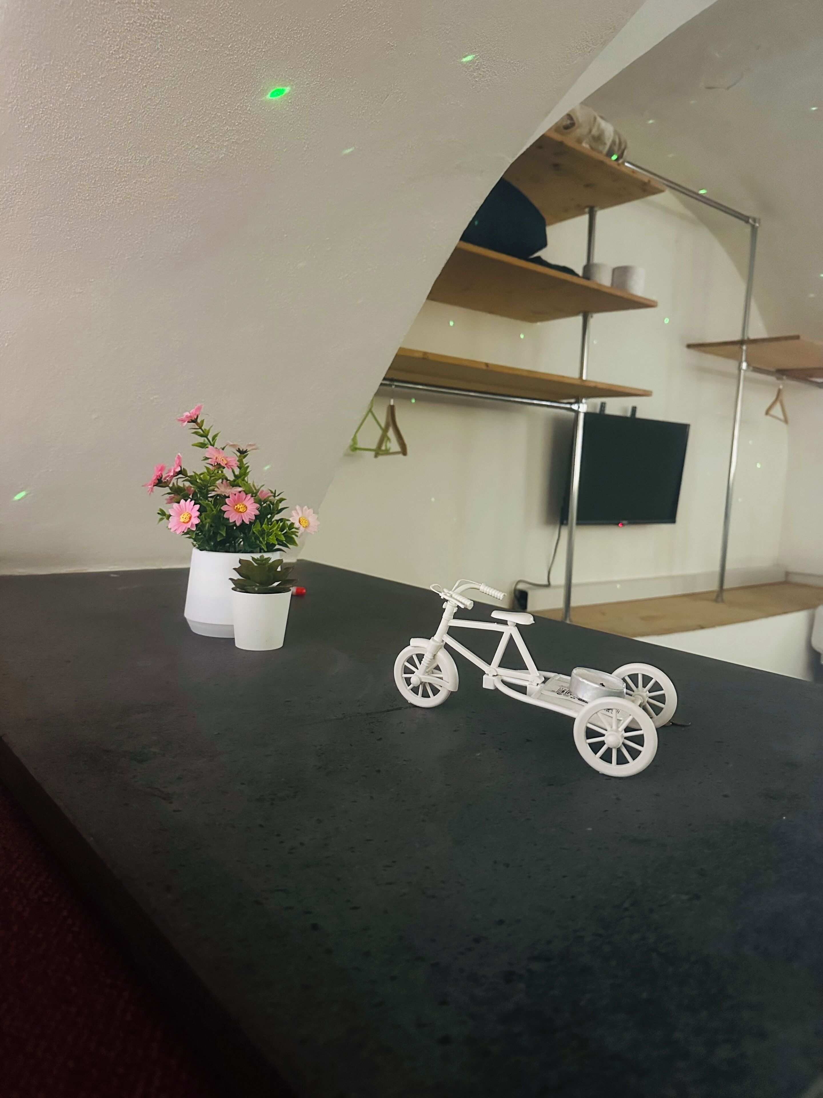 A model bicycle on a dark surface, a potted plant with pink flowers, and a television on a stand.