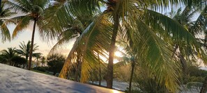 Property grounds - Mango Paradise - Studio with splendid sea view, sunrise and sunset! (SAINT-FRANCOIS)