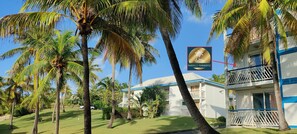 Exterior - Mango Paradise - Studio with splendid sea view, sunrise and sunset! (SAINT-FRANCOIS)