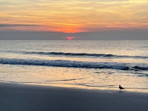 Beach - Amelia Island Home & Pet Friendly Fully Fenced in backyard, NearBeach & downtown (Fernandina Beach)