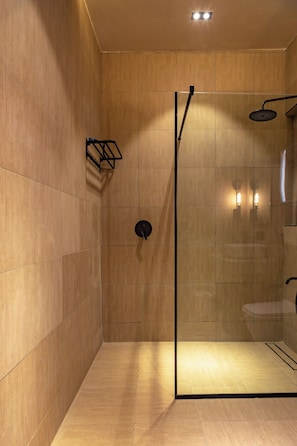 Shower, towels, soap, toilet paper