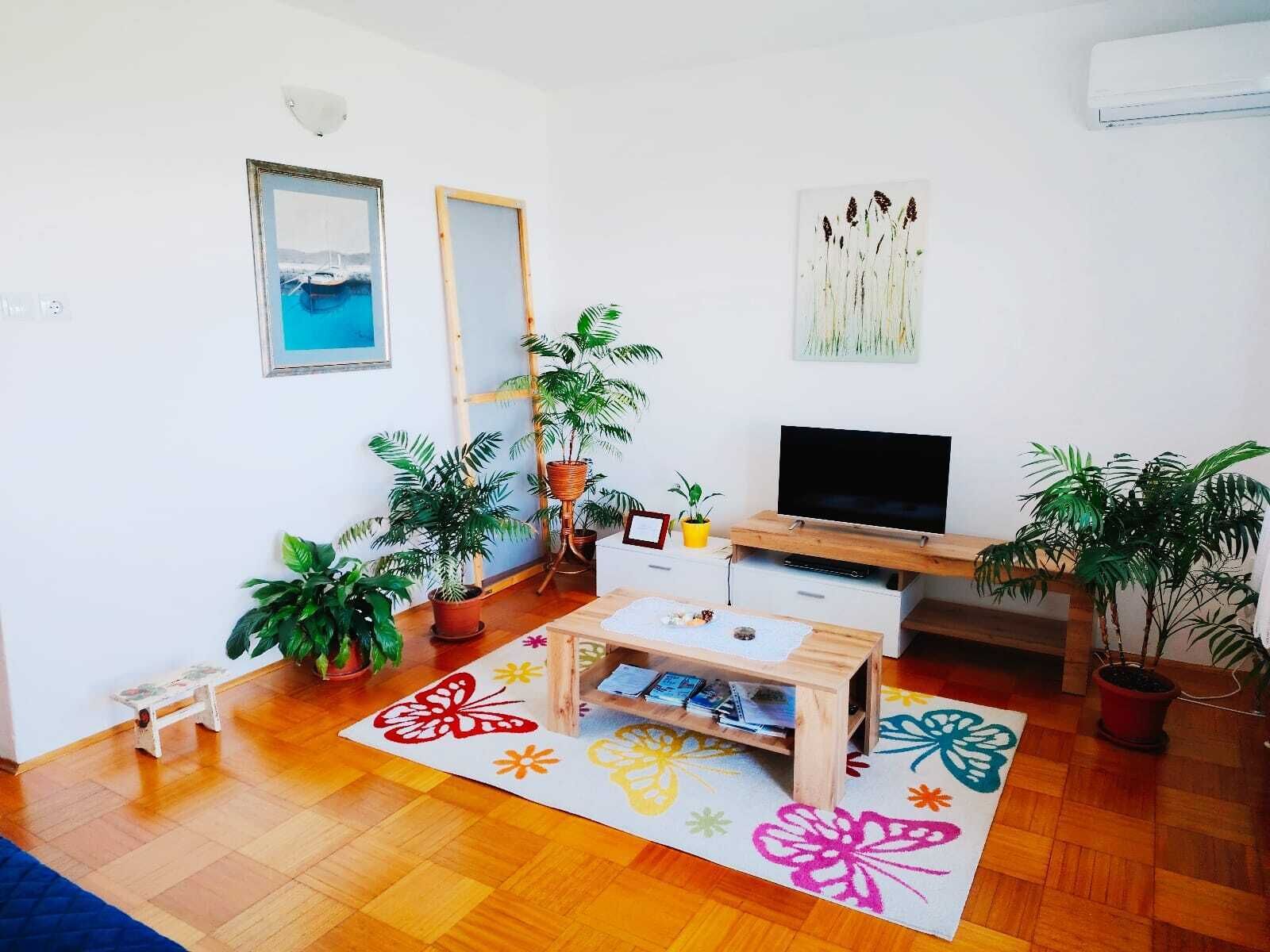 Smart TV, DVD player, books