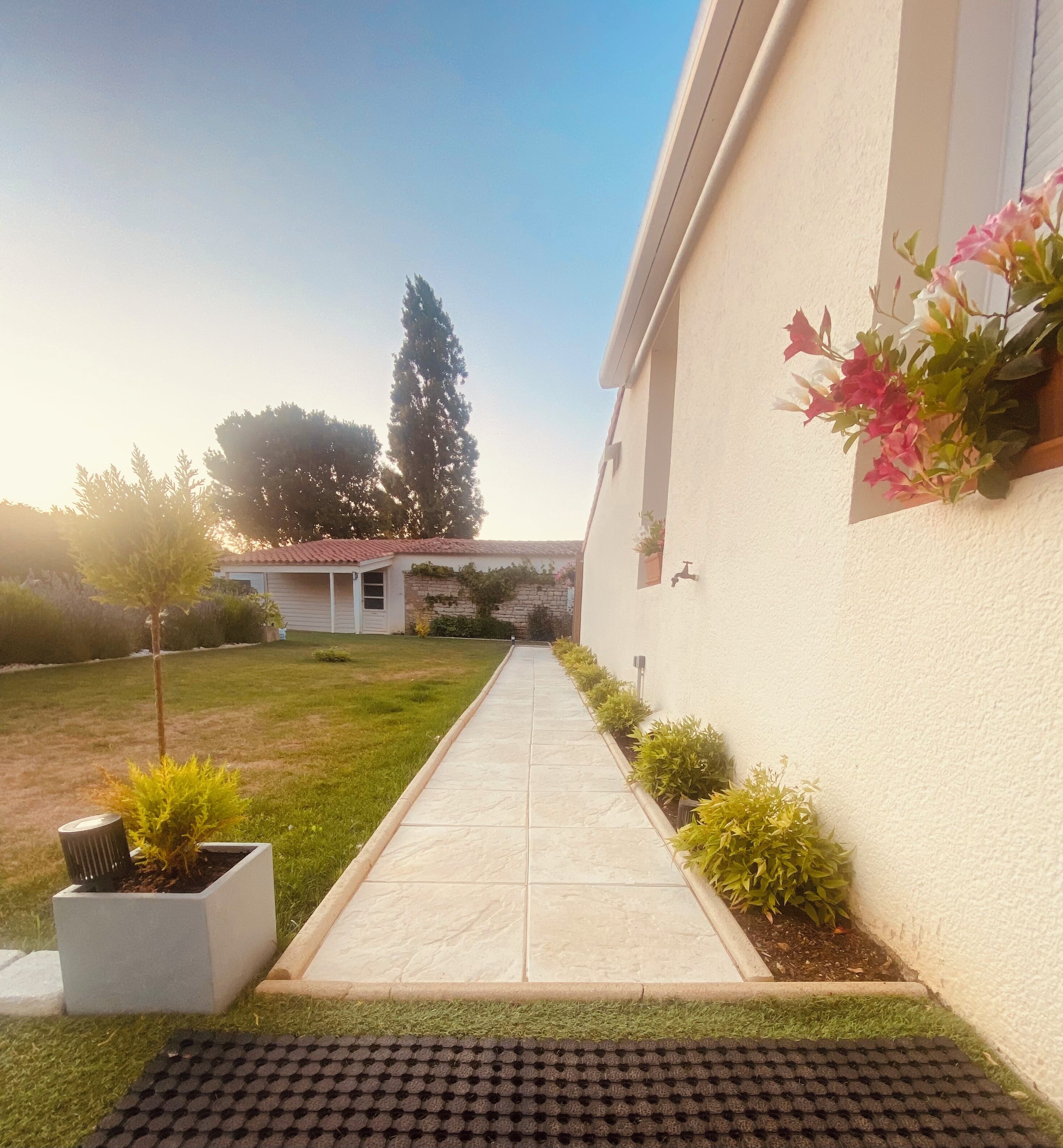 A pathway leading to a house with a tiled roof and a white exterior. There are potted plants and a small tree along the path.