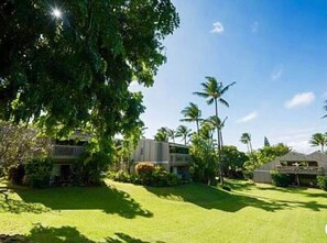 Property grounds - The Lucky Mango Across St. Fr Ocean Lush Gardens (Napili-Honokowai)