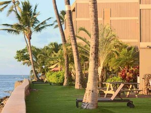 Outdoor dining - The Lucky Mango Across St. Fr Ocean Lush Gardens (Napili-Honokowai)
