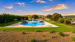 En swimmingpool med tilhørende terrasse, omgivet af træer og en klar himmel.