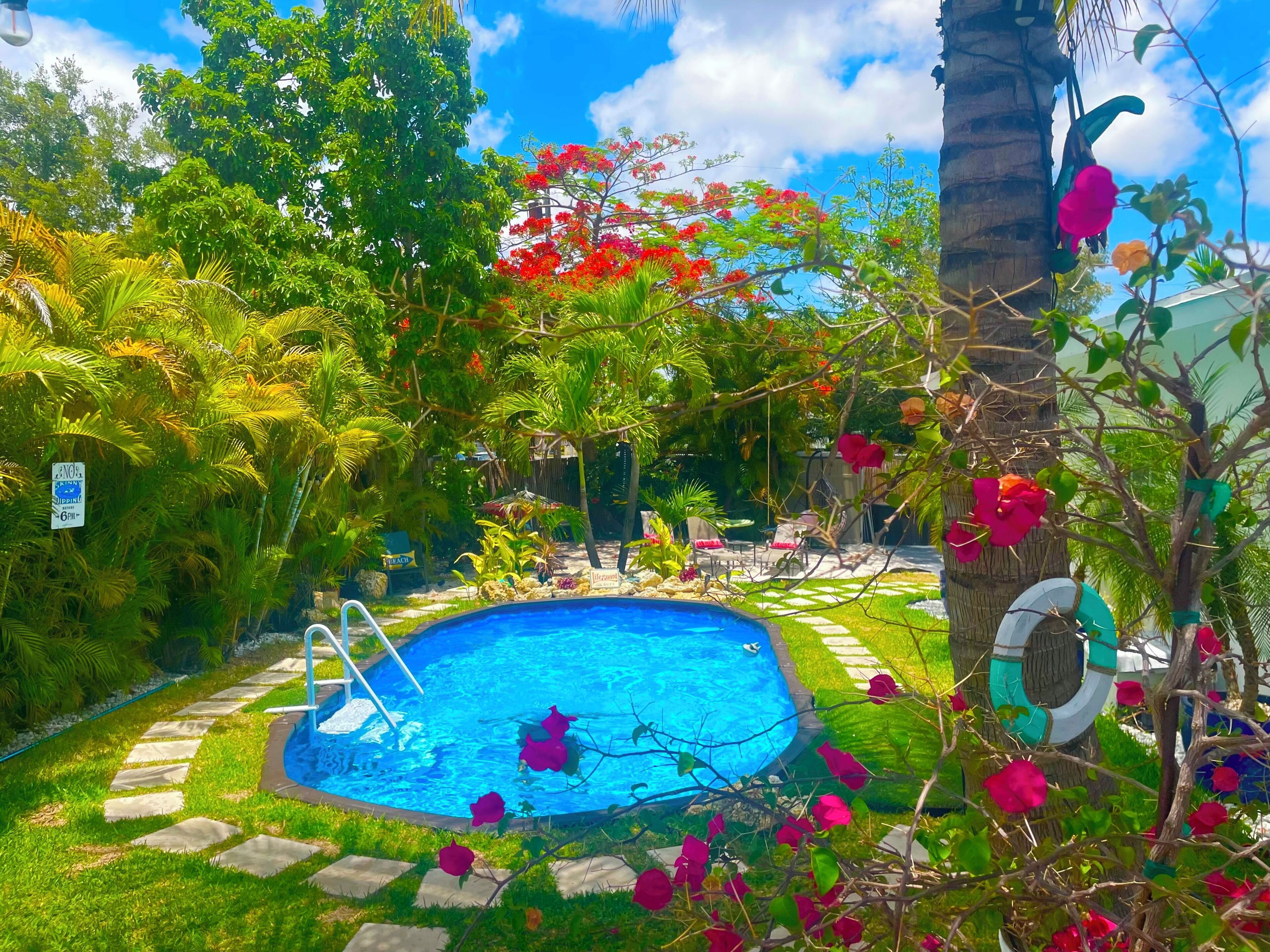 A swimming pool surrounded by lush greenery, a palm tree, and a lifebuoy.