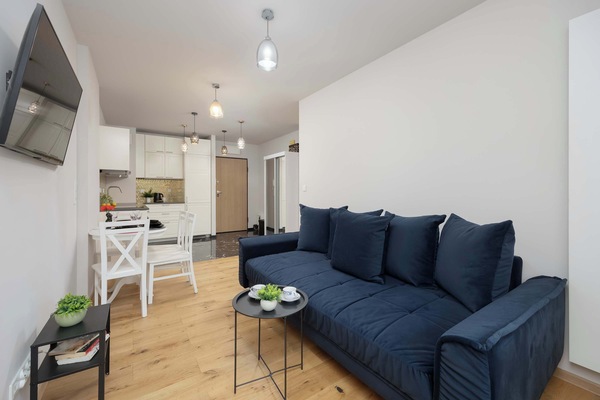 Bright living room with blue sofa, coffee table, and natural daylight.