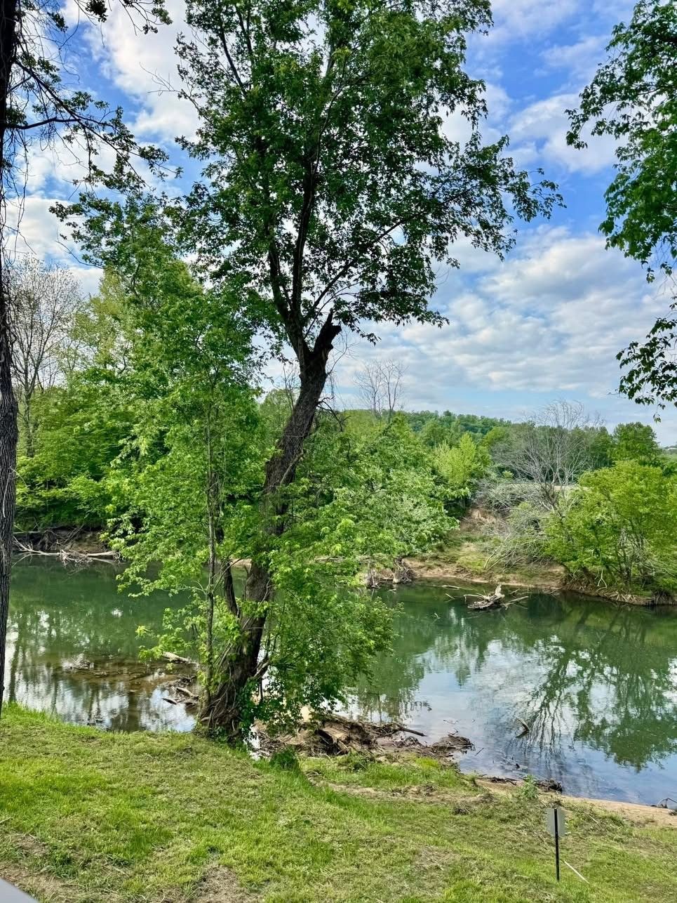 Un paisaje apacible a orillas del río, con abundante vegetación y aguas tranquilas.