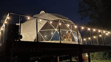 A geodesic dome structure with a glass facade, surrounded by a metal railing and string lights.