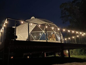 Une structure en forme de dôme géodésique dotée d’une façade en verre, entourée d’une rambarde métallique et illuminée de guirlandes lumineuses.