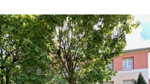 Ein Parkplatz mit Bäumen und einem Gebäude im Hintergrund.
