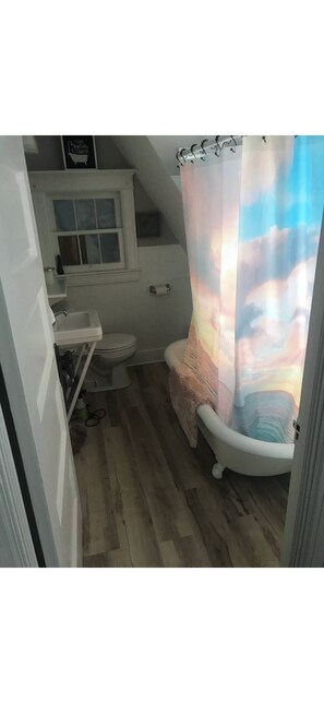 Hair dryer, soap, toilet paper