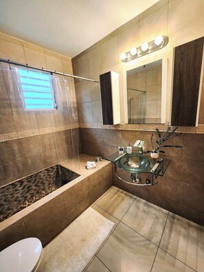 Regadera, secadora de cabello, bidet, toallas 