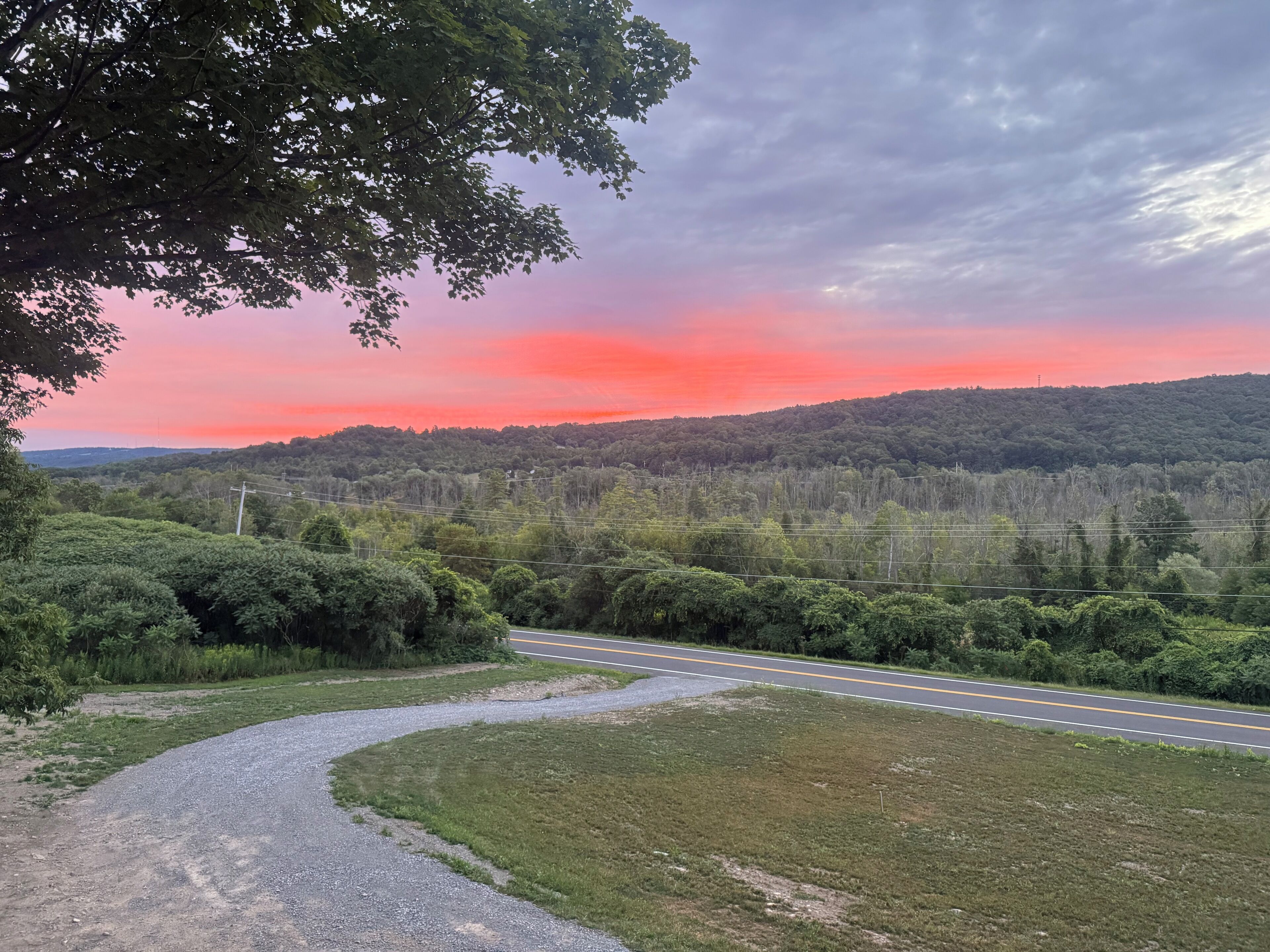 Paesaggio rurale con una strada tortuosa, una fitta foresta e un cielo al tramonto.