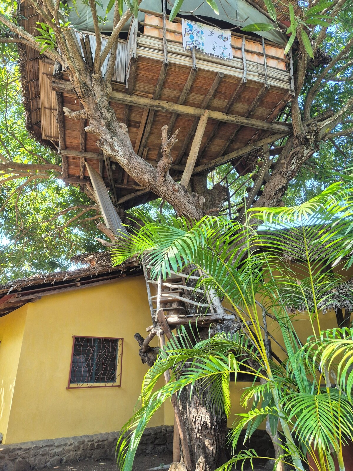 Imagen de perfil del propietario o de la propietaria