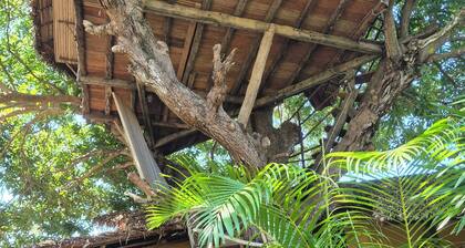 AMBALAMANGA: large house with tree house, 200 m from the sea and entertainment.