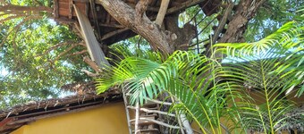 AMBALAMANGA: large house with tree house, 200 m from the sea and entertainment.