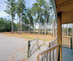 Property grounds - House in the Pines - Tiny Home Near Southern Pines (Vass)