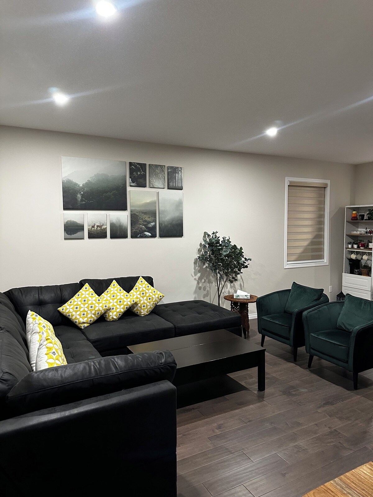 Image de profil de l’hôte