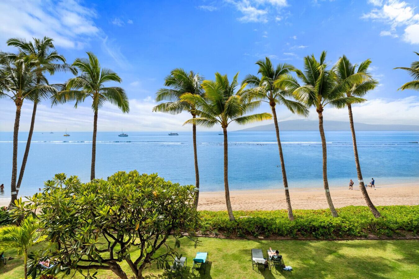 A beach with palm trees, a clear sky, and boats in the water.