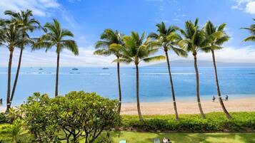 A beach with palm trees, a clear sky, and boats in the water.