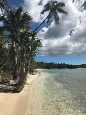 Een strand met helder turquoise water, palmbomen en een zandstrand.