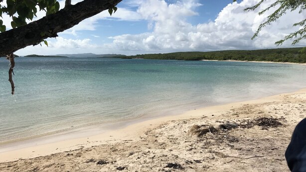 Ein Strand mit klarem Wasser, sandigem Ufer und grünen Hügeln im Hintergrund.