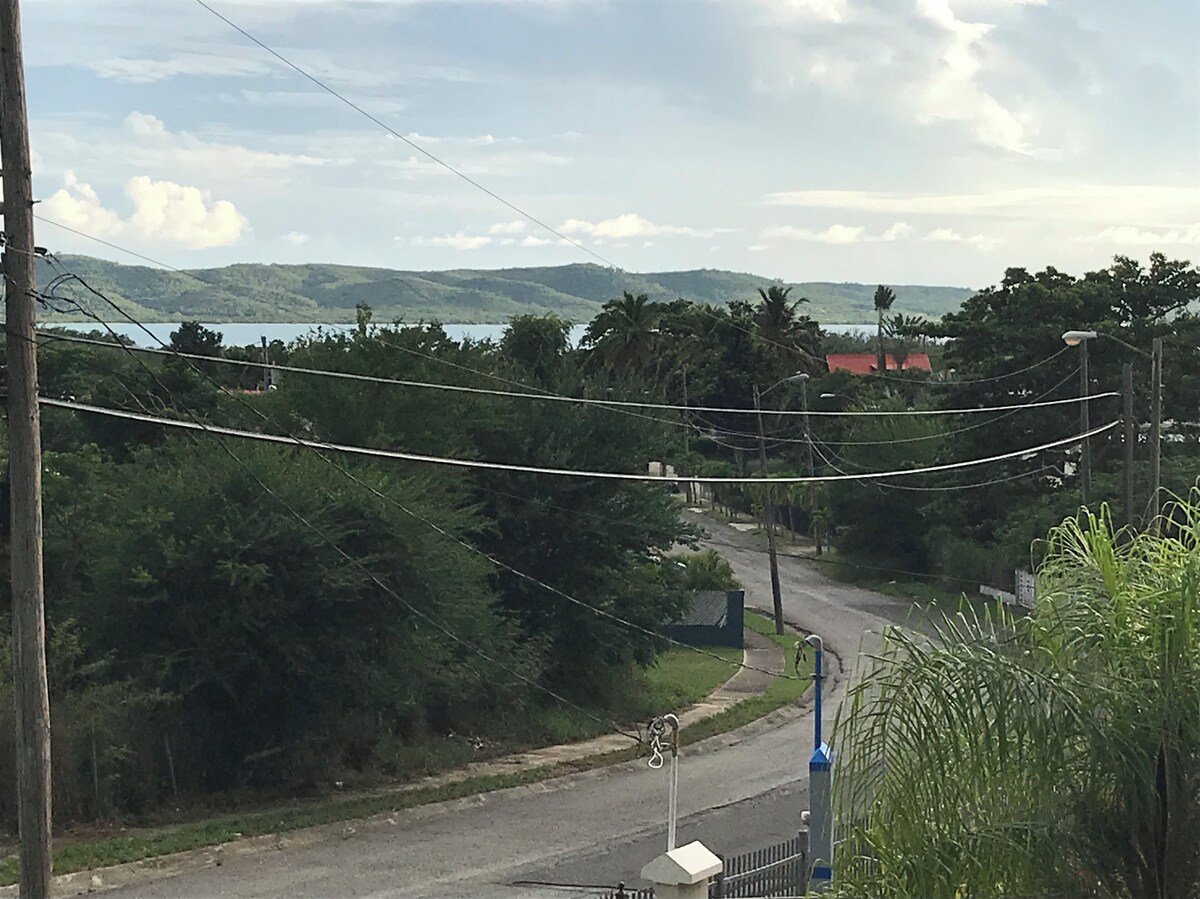 Imagen de perfil del propietario o de la propietaria