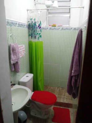 Chuveiro, toalhas de banho, sabonete, papel higiênico