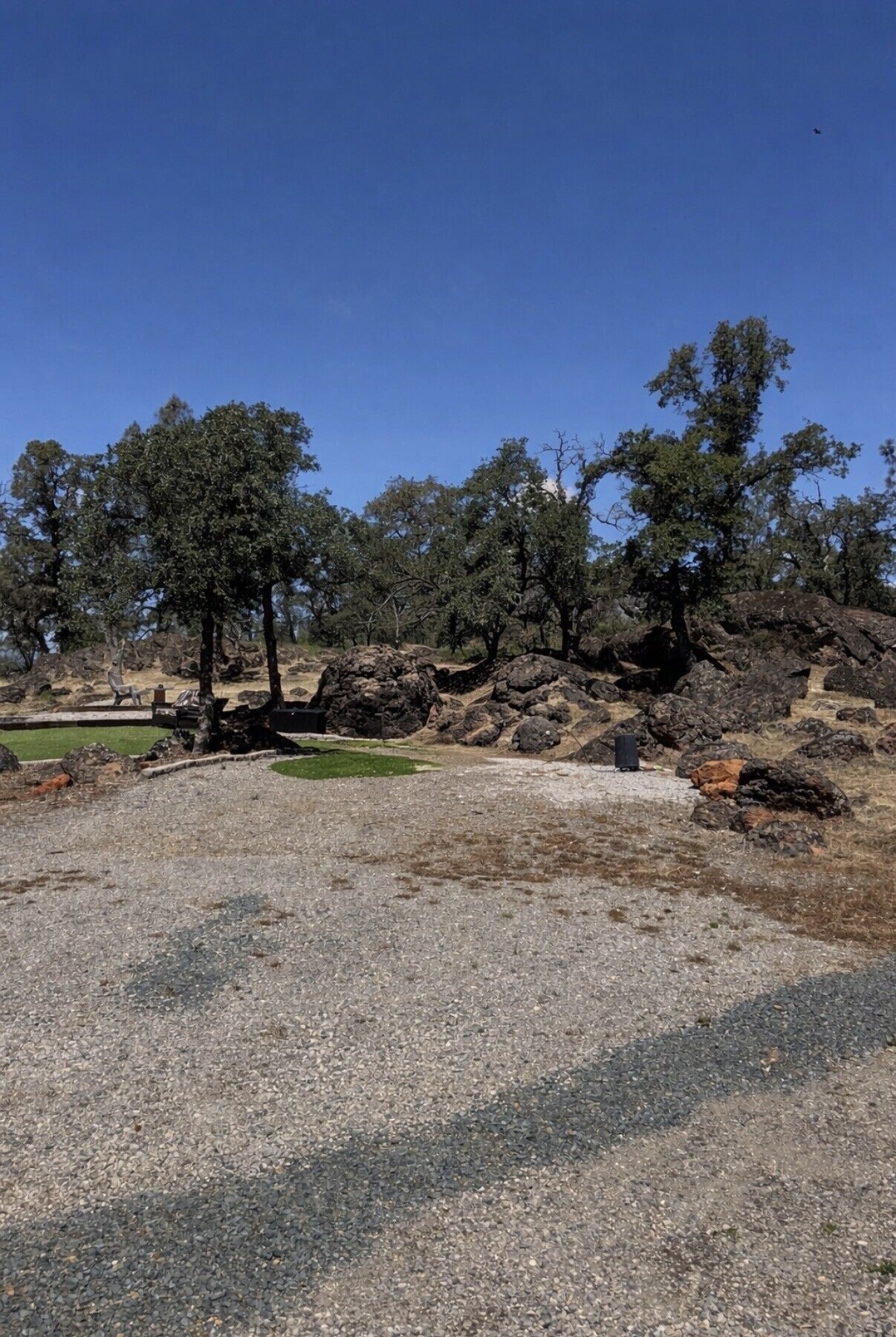 A gravel area with trees and rocks, a bench, and a small grassy patch.
