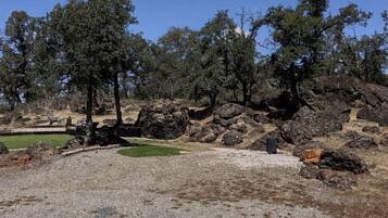 A gravel area with trees and rocks, a bench, and a small grassy patch.