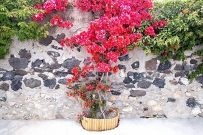 Property grounds - George and Joanna Suites (Santorini)