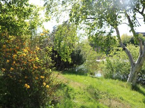 A natural landscape with a grassy area, trees, and a body of water. - Nature oasis with private lake near beach (Fårevejle)