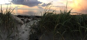 Ein Strand mit Dünen und Gras.