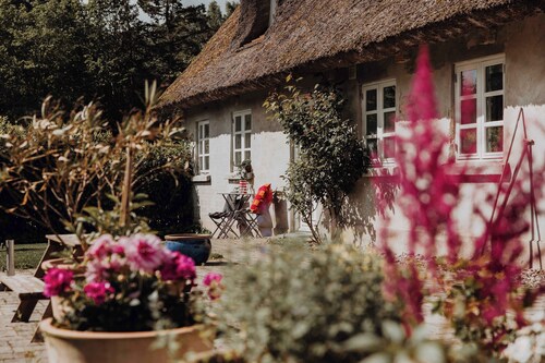 Idillyc house on horsefarm called Enggaarden