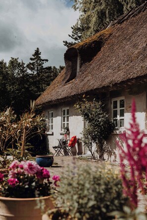 Immagine non classificata, 4 di 15, pulsante