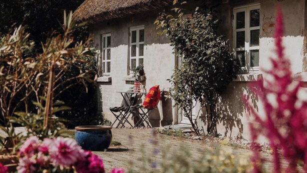 A thatched-roof house with a window, surrounded by potted plants and a garden.