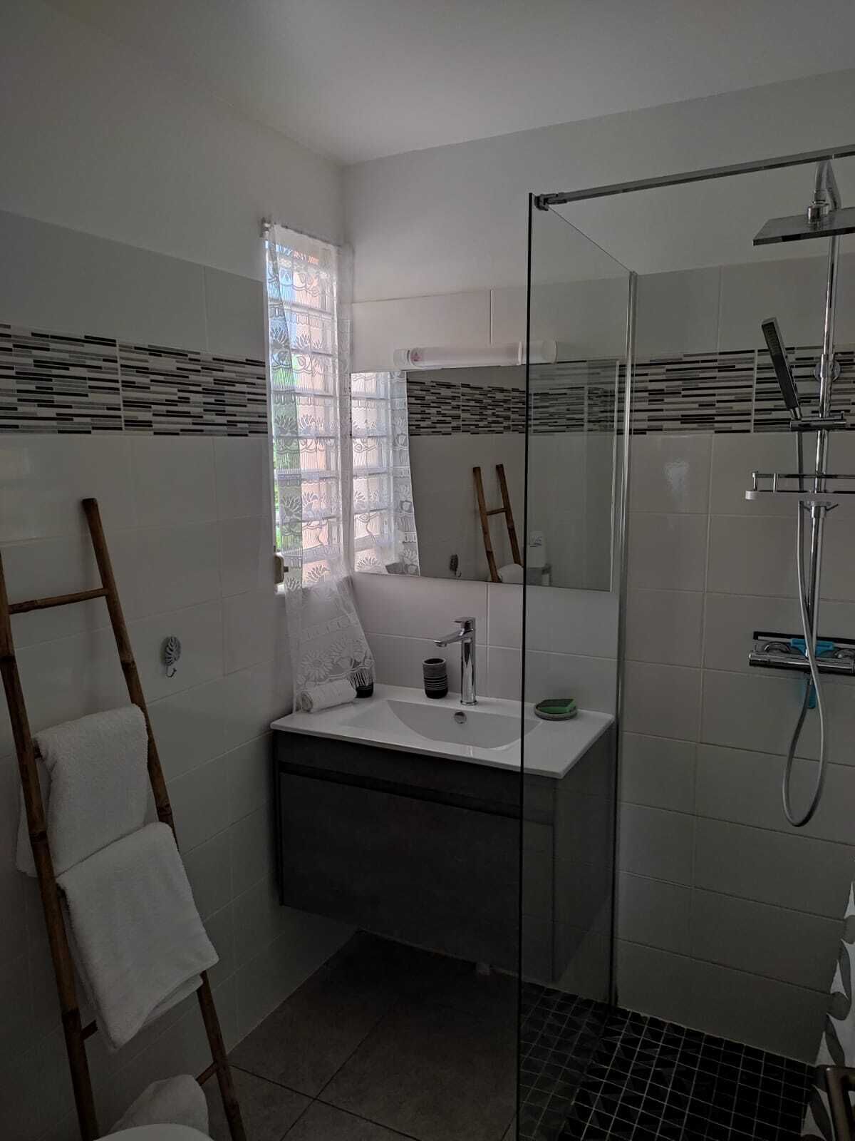 Hair dryer, towels, soap, toilet paper
