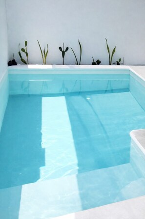 Apartment, 1 Bedroom, Kitchen, Pool View | Pool | Indoor pool - Modern Apartment w Private Pool (Chiquimulilla)