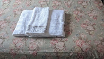 واي فاي مجانًا