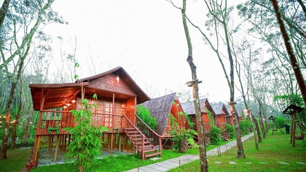A row of wooden cabins with external staircases, surrounded by lush greenery and trees.